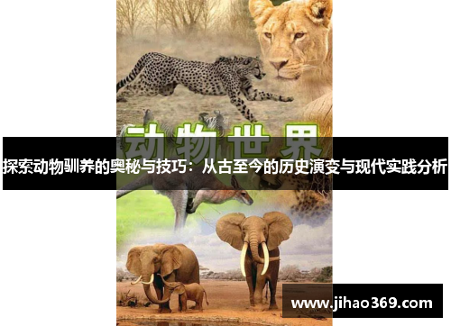 探索动物驯养的奥秘与技巧：从古至今的历史演变与现代实践分析